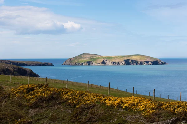 Wyspa Cardigan Ceredigion, Walia — Zdjęcie stockowe