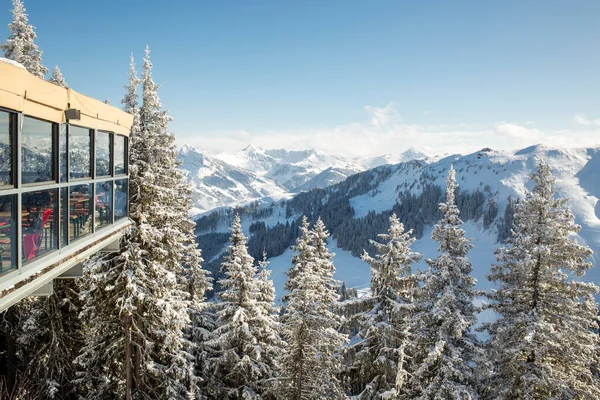 Glass Annex Mountain Top Restaurant Amongst Snow Covered Trees Ski — ストック写真