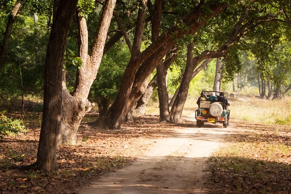 Safari Jeep Bandhavgarh Milli Parkı'nda — Stok fotoğraf