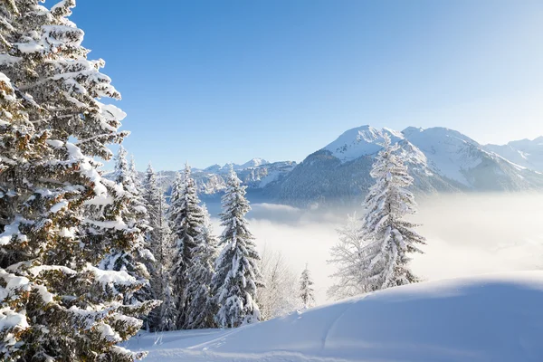 Winter-Blick auf die Alpen lizenzfreie Stockbilder