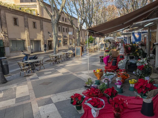 Covid-19 salgını sırasında Palma de Mallorca 'da Noel çiçeği işareti