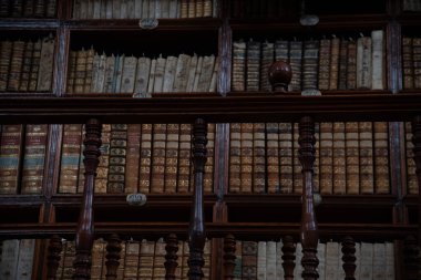 Puebla Meksika 'nın Palafoxiana kütüphanesi, eski ahşap mobilyalar ve kahverengi renkli binlerce eski kitap, büyük kasalar, saatler ve küreler, eski teraslar, raflar ve 18. yüzyıldan kalma sergiler.
