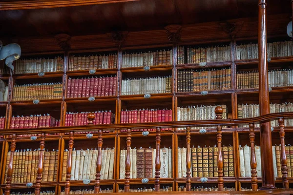 브라질의 푸에블라주에 시아나 도서관 목재로 가구와 갈색을 수많은 시계와 테라스 — 스톡 사진