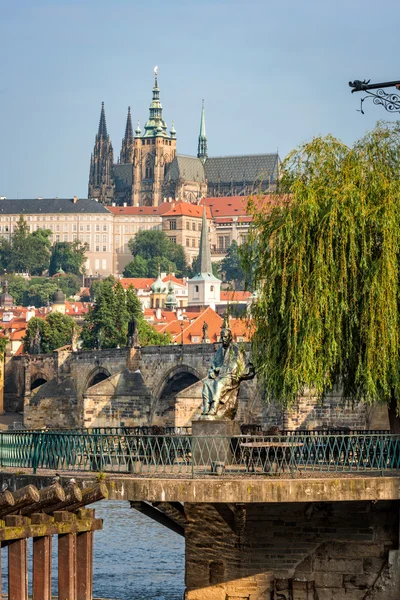 Visa av monument till kompositör Smetana i Prague — Stockfoto