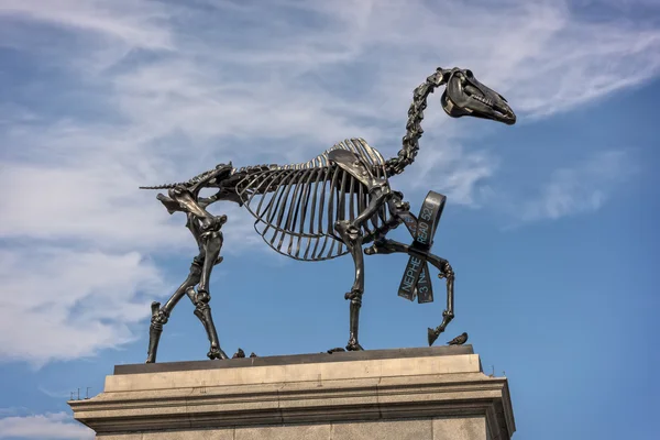 Londons 트라팔가 광장에서 골격 말의 조각 — 스톡 사진