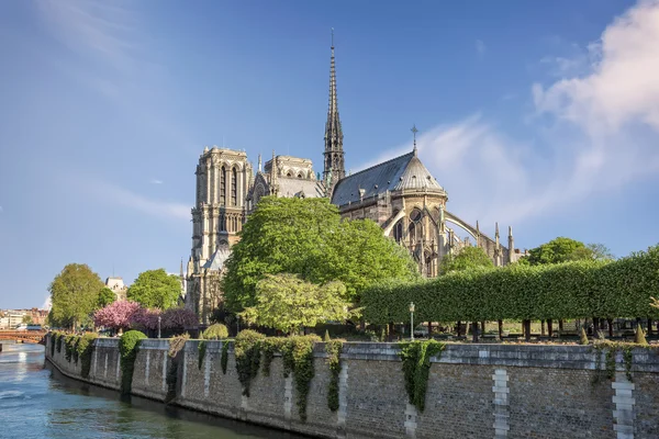 Kathedrale Notre Dame de Paris — Stockfoto