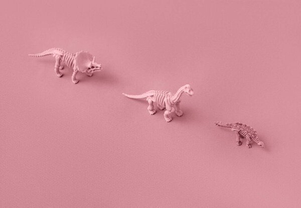 Toy models of dinosaur skeletons on a pink background