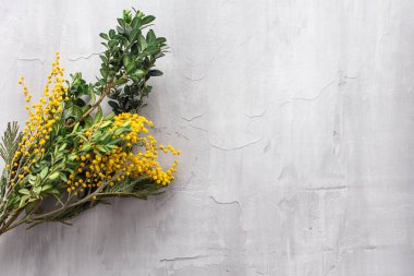 2021 'in sarı ve gri renkli renkleri. Gri arkaplanda sarı mimoza çiçekleri.