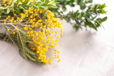 2021 'in sarı ve gri renkli renkleri. Gri arkaplanda sarı mimoza çiçekleri.