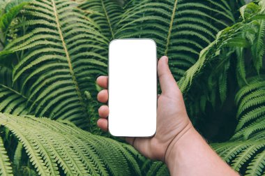 Close up, mock up smartphone in hand. Against the backdrop of greenery clipart