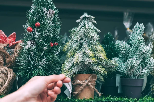 Girl Chooses Decorative Christmas Tree Background Shop Window — Stock Photo, Image