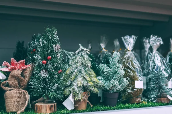 Boże Narodzenie Nowy Rok Dekoracyjne Drzewa Ladzie Sklepie — Zdjęcie stockowe