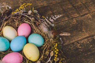Yakın plan, güzel bir yuvadaki renkli Paskalya yumurtaları. Eski bir tahtanın arka planına karşı
