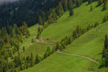 Alp dağı manzaralı. Liechtenstein 'in başkenti Vaduz yakınlarında çekildi.