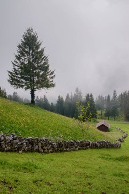 Alp dağı manzaralı. Liechtenstein 'in başkenti Vaduz yakınlarında çekildi.