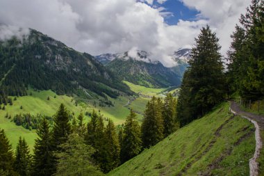 Alp dağı manzaralı. Liechtenstein 'in başkenti Vaduz yakınlarında çekildi.