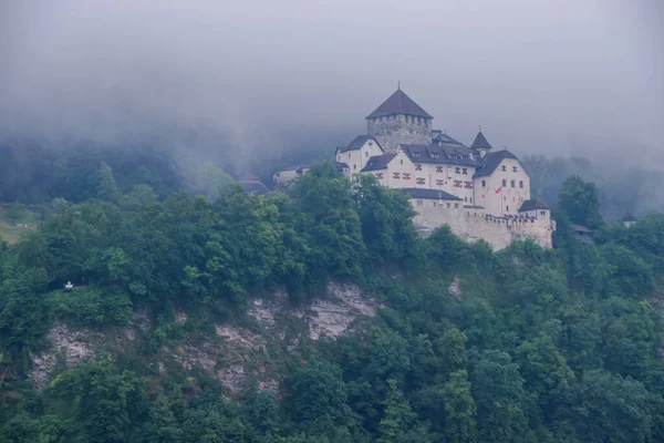 Summer Alpine Landscape Vaduz Castle Liechtenstein — Stock Photo, Image