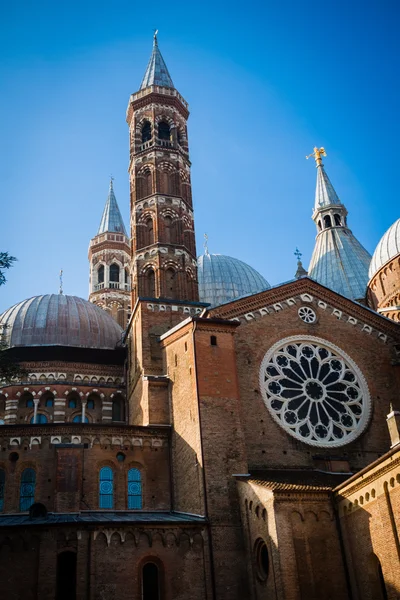 Padova. Włochy. Wiosną. Podróż. — Zdjęcie stockowe