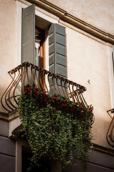 Padova. İtalya. Seyahat. Bahar