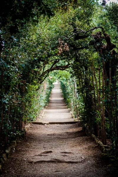 Firenze. Italië. Reizen. Lente. — Stockfoto