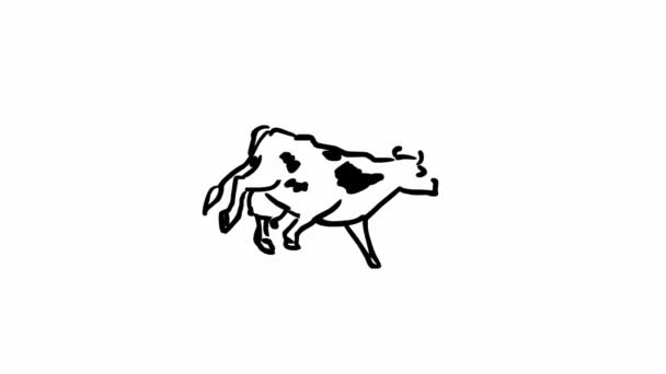 Krowa Idzie Animacja Pętli Bez Szwu Kreskówki — Wideo stockowe