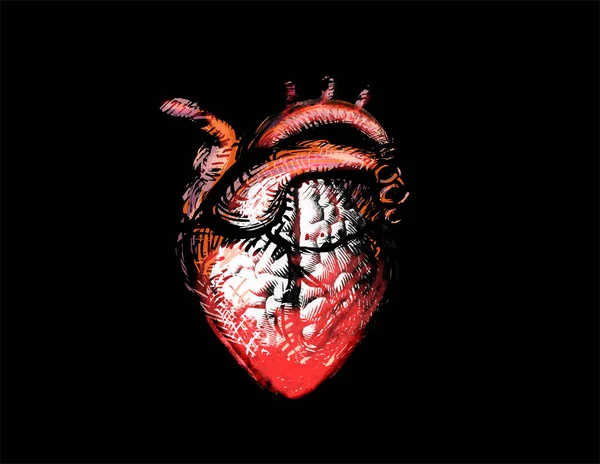 Illustrazione Del Cuore Umano Sfondo Nero — Foto Stock