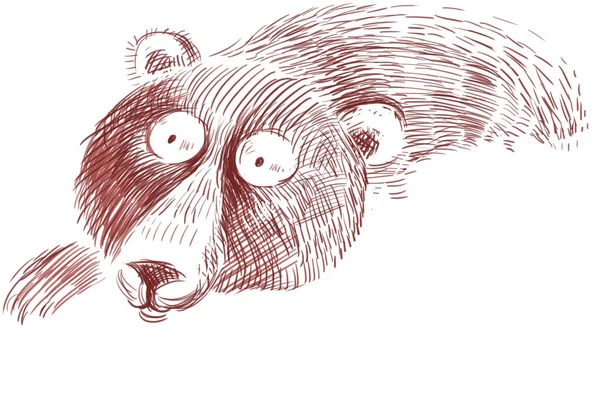 Ilustrace Vtipného Kresleného Medvěda — Stock fotografie