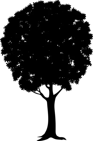 Árbol — Archivo Imágenes Vectoriales