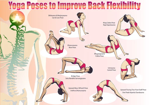 Poses de yoga pour améliorer la flexibilité du dos — Image vectorielle