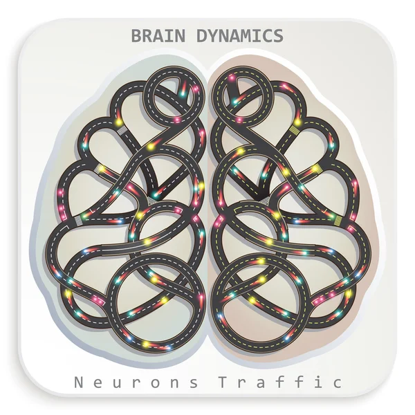 Neurons Brain Dynamics — Stock Vector