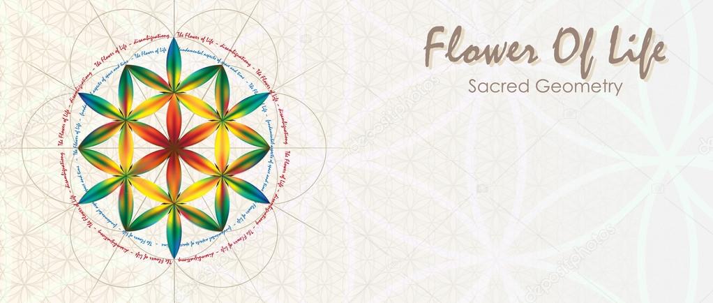 Flower Of Life Banner