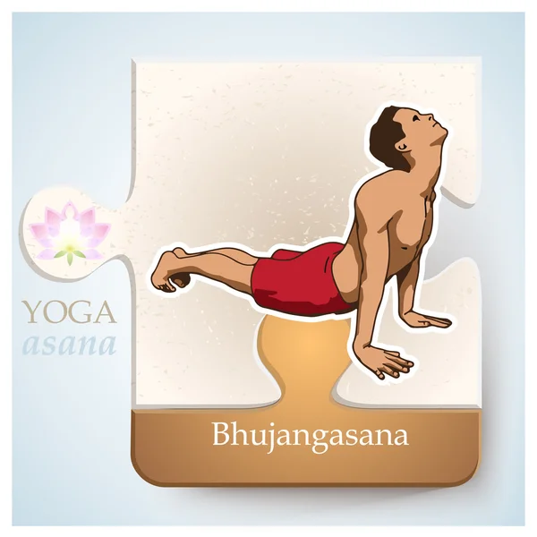 Yoga Asana Bhujangasana — Stok Vektör