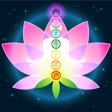 çakralar lotus