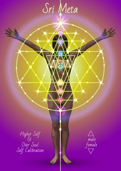 Sri Meta yüksek öz