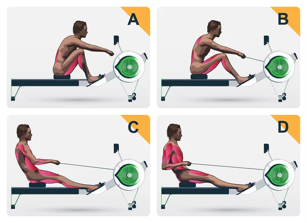 Trabajo muscular en macina de remo — Vector de stock