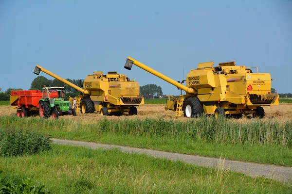 Harvesting — Stock Photo, Image