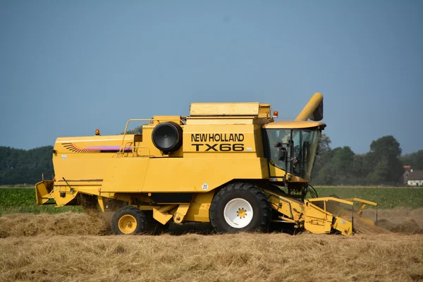 Harvesting — Stock Photo, Image