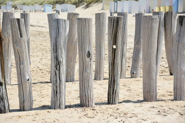 The dutch coast — Stock Photo, Image