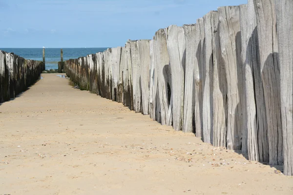 The dutch coast — Stock Photo, Image