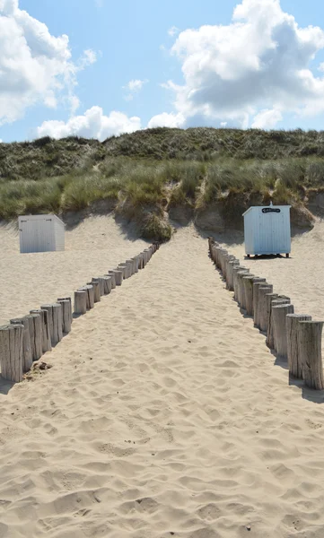 A holland tengerparton — Stock Fotó