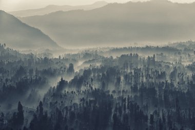  Bromo caldera sis içine