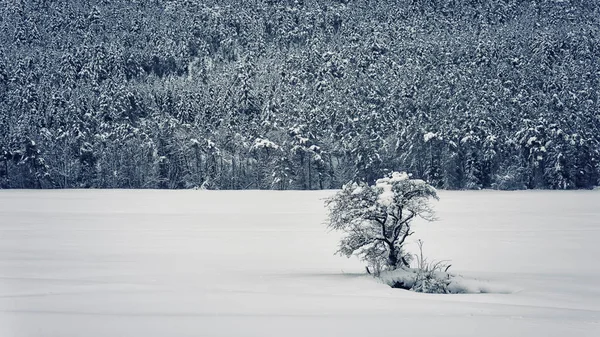 法国阿尔卑斯山的冬季风景 — 图库照片