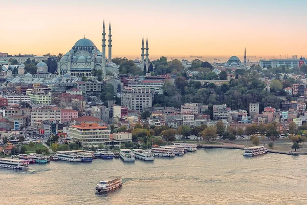 Paysage Urbain Istanbul Avec Vue Sur Mosquée Suleymaniye Camii — Photo