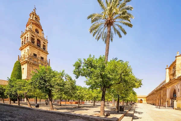 Mezquita Catedral Córdoba Andalucía España —  Fotos de Stock