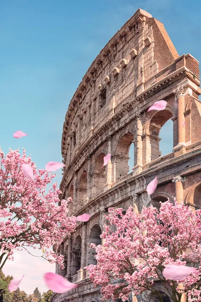 Colisée Printemps Monument Célèbre Rome — Photo