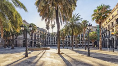 Placa Reial Barcelona 'da gündüz vakti, İspanya