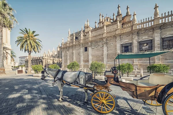 Sevilla Ciudad Durante Día España —  Fotos de Stock