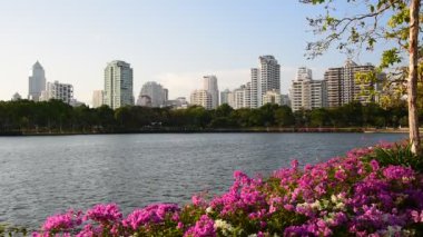 Benjasiri park Bangkok