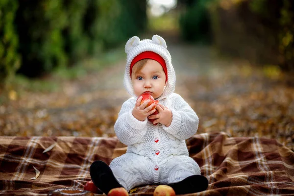 Sonbahar Parkında Küçük Bir Kız Elma Yiyor Battaniyenin Üzerinde Oturuyor — Stok fotoğraf