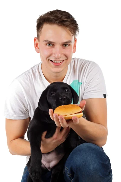 Cucciolo carino del labrador — Foto Stock